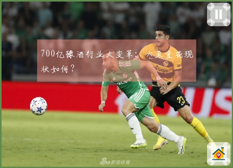 700亿豫酒行业大变革：六朵金花现状如何？