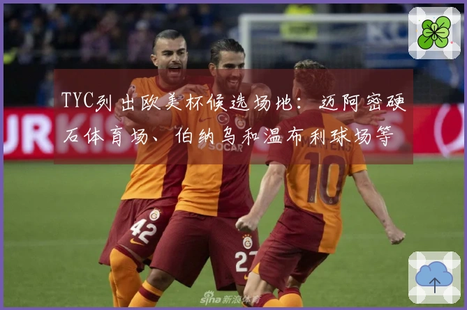 TYC列出欧美杯候选场地：迈阿密硬石体育场、伯纳乌和温布利球场等