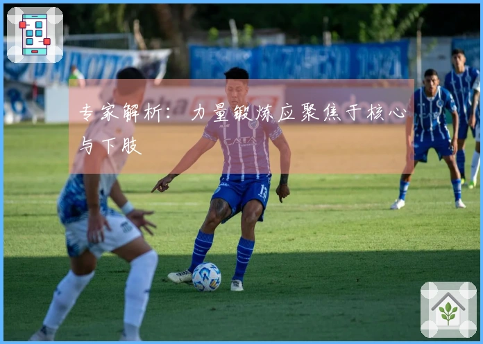 专家解析：力量锻炼应聚焦于核心与下肢