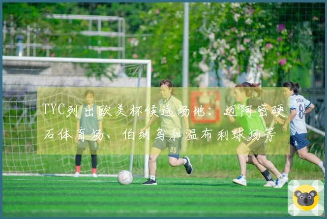 TYC列出欧美杯候选场地：迈阿密硬石体育场、伯纳乌和温布利球场等