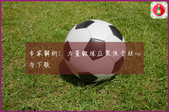 专家解析：力量锻炼应聚焦于核心与下肢